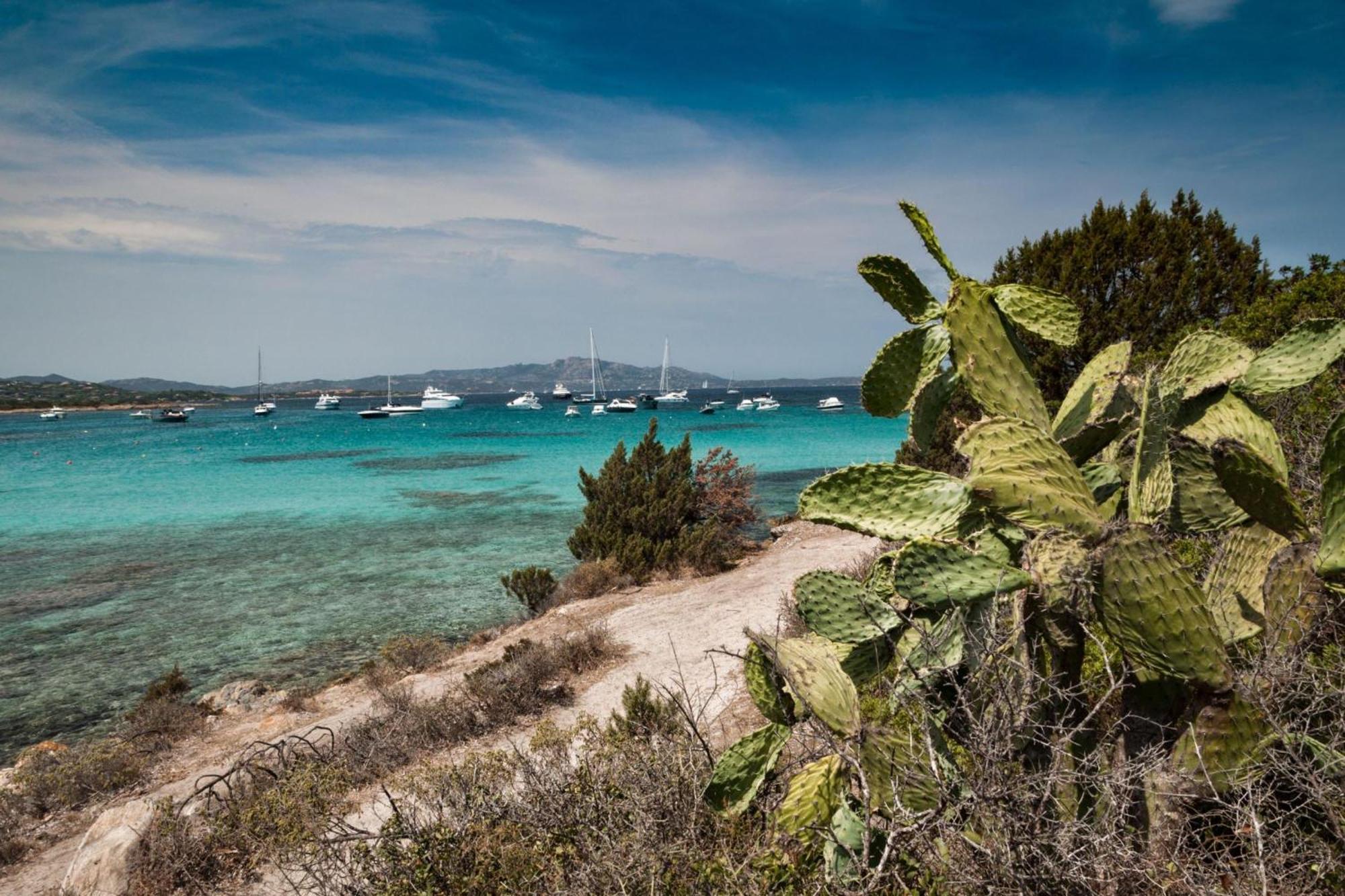 Villetta Franca 100M From The Beach - Happy Rentals Golfo Aranci Extérieur photo